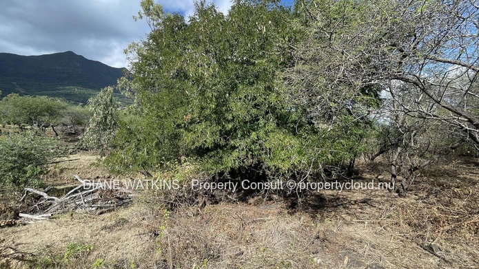 A Vendre - Terrain Résidentiel de 1700 m2 avec Vues Montagnes à Petite Riviere Noire