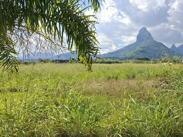 Residential Land