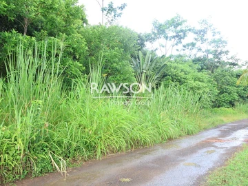 Agricultural Land