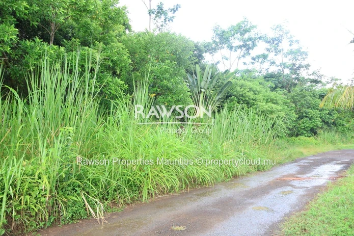 Agricultural Land in Chamarel – A Peaceful Green Haven