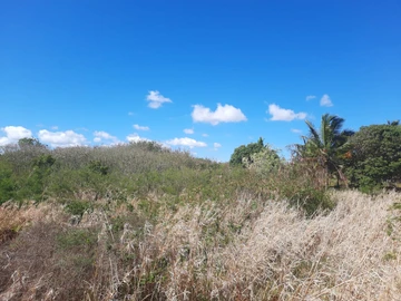 Residential Land