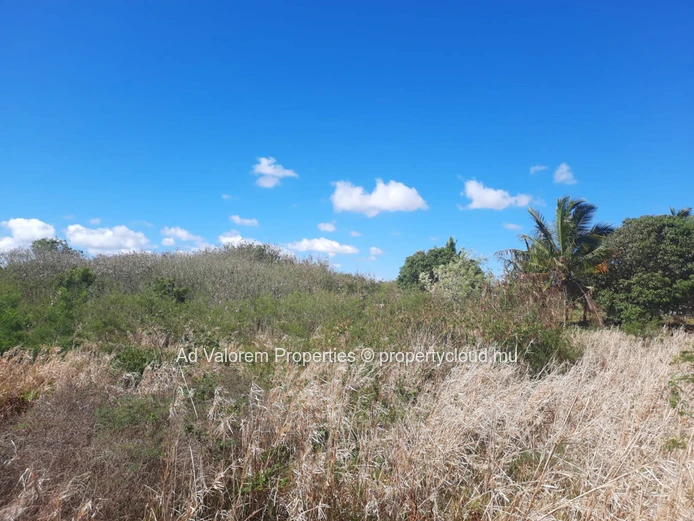 Land of 1.25 arpent for sale in old St Antoine