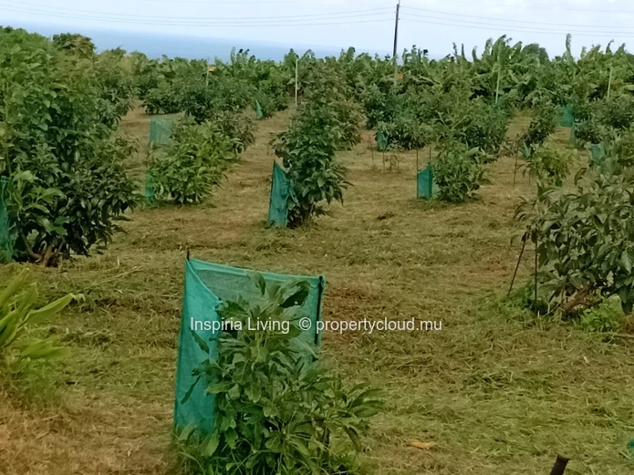 Farm for sale in Chamouny — Sea & Mountain Views