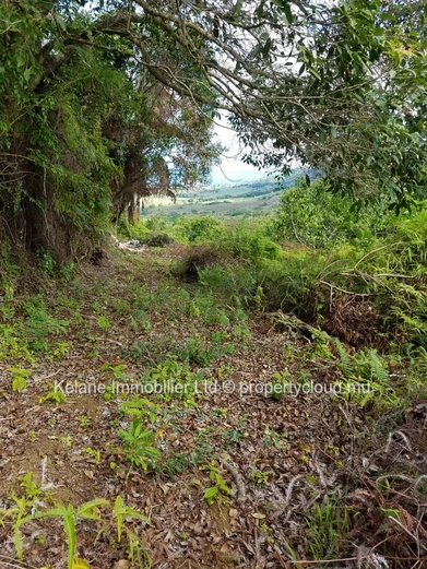 13.38 Arpents of Land for Sale | Anse Jonchée | Grand Port