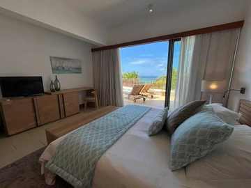 3 Bedroom Penthouse