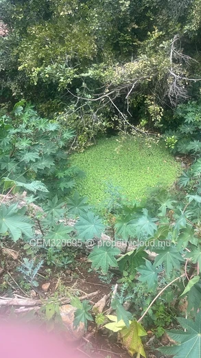 Land for Sale – Balaclava 