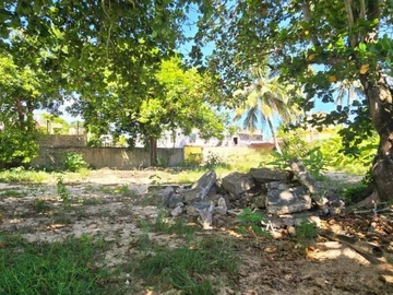 Terrain