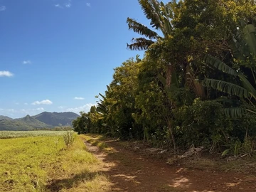 Agricultural Land