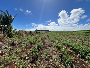 Agricultural Land