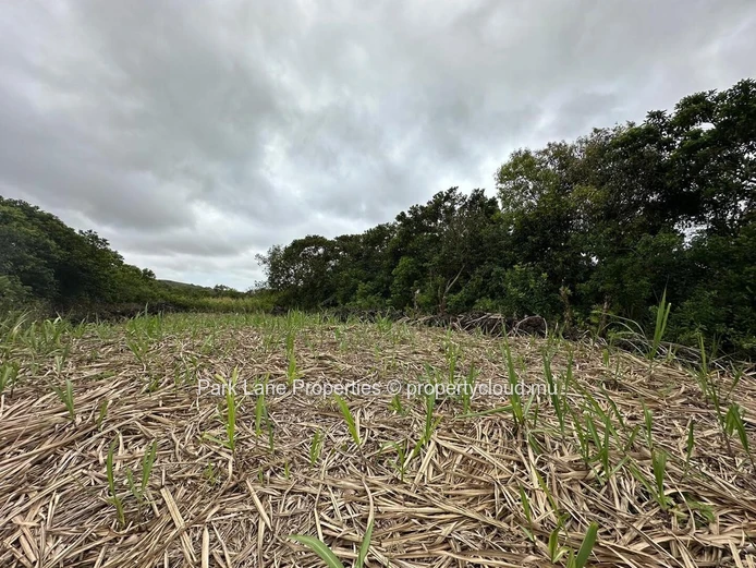 Land for Sale – Salazie