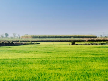 Terrain Agricole