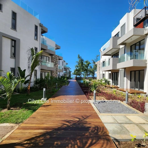 Superbe Appartement Pieds dans l’Eau à Poste Lafayette