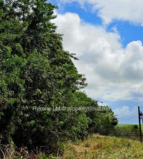 Terrain Résidentiel / Commercial À Vendre À L’Amitié