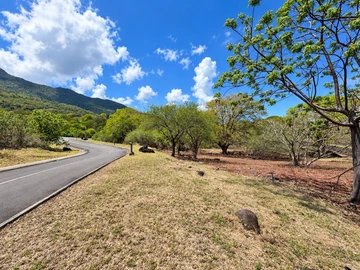 Residential Land