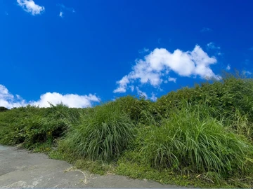 Residential Land