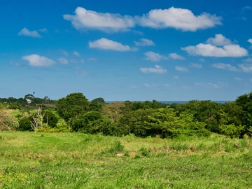 Residential Land