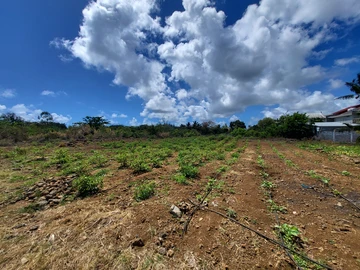 Residential Land