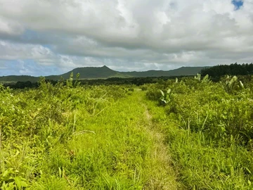 Agricultural Land