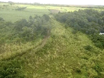 Agricultural Land