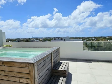 3 Bedroom Penthouse