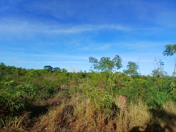 Agricultural Land