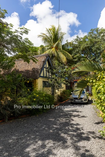Découvrez le charme de cette charmante et authentique maison ainsi que des appartements et des emplacements commercia...