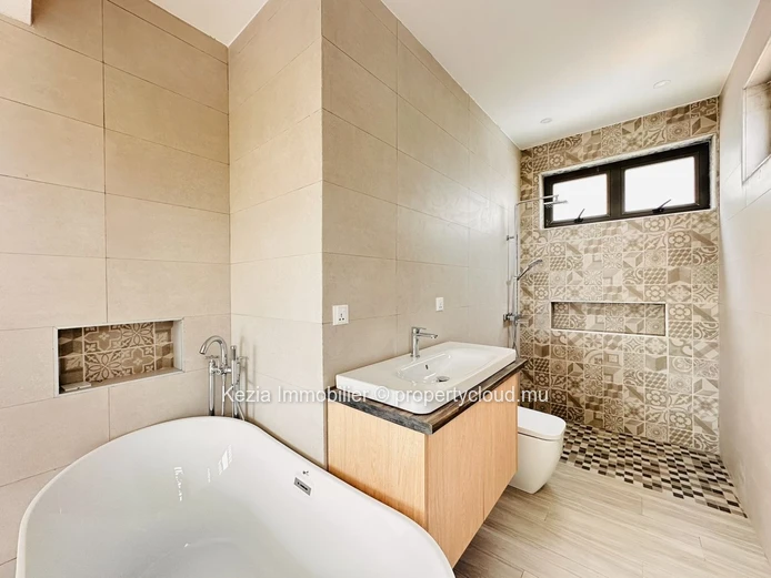 New Contemporary Villa