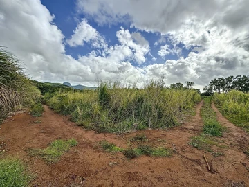 Land