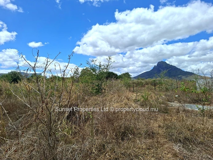 Magenta Parkside | Flic en Flac