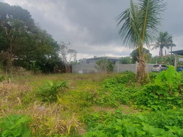 Residential Land