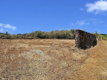 Terrain