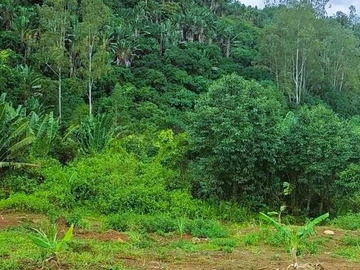 Agricultural Land