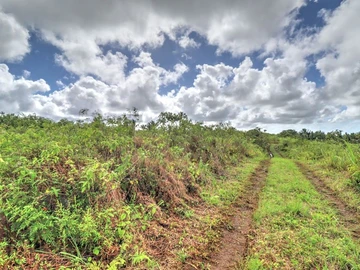 Agricultural Land