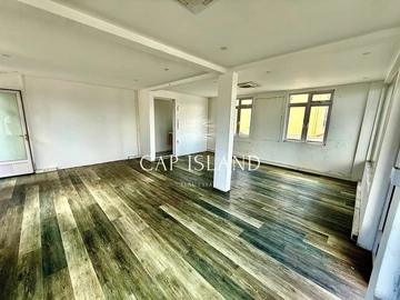 Immobilier Commerciaux