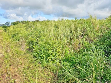 Terrain Agricole