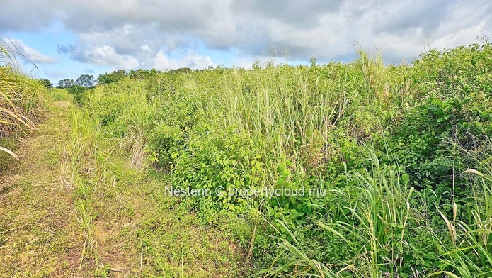 Terrain Agricole de 5,099m²/ 1.21 Arpents 