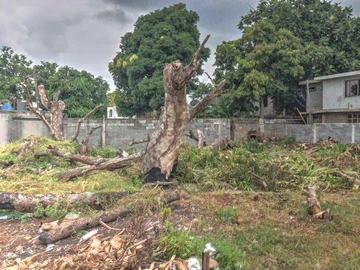 Residential Land