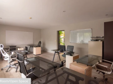 Immobilier Commerciaux