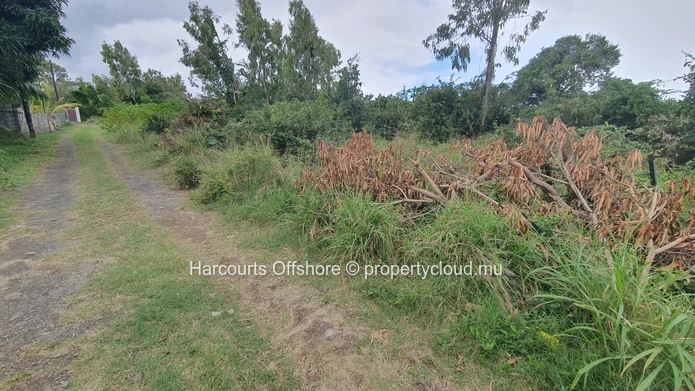 151 m² Road-front Plot with Mature Trees — Amaury
