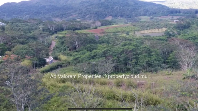 Chamarel - Terrain agricole à vendre
