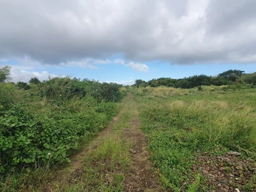 Residential Land