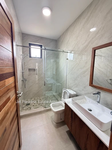 Newly built 4 bedrooms house with private swimming pool and Garden