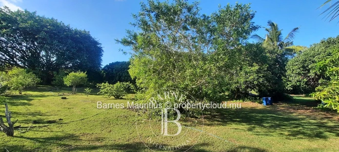 Foret Daruty-  Terrain A Vendre