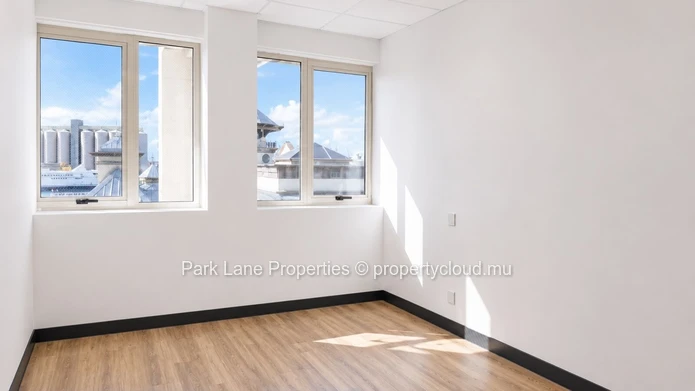 445 m² Office Space for Rent in Caudan | Multi-Unit Commercial Workspace