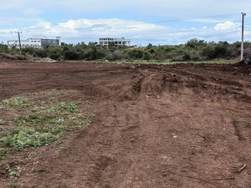 Land