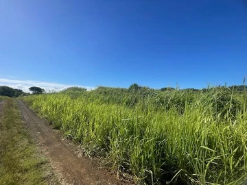 Agricultural Land