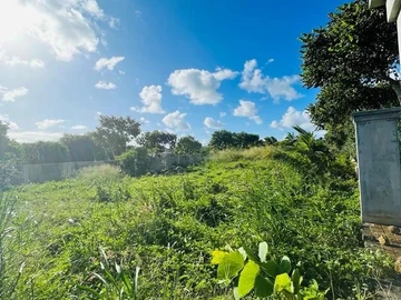 Land