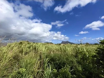 Agricultural Land