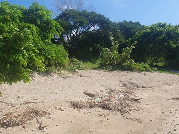 Residential Land