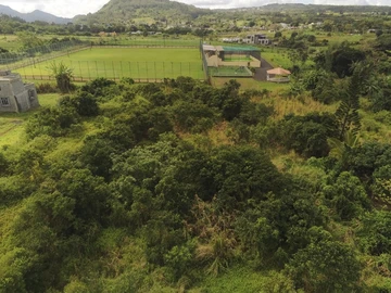 Land